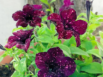 Similar image 22287650