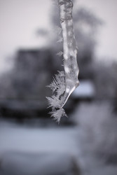 Similar image 22287651