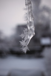 Similar image 22287652