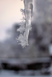 Similar image 22287757