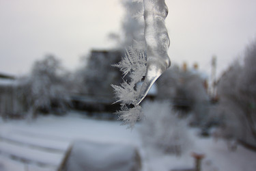 Similar image 22287759