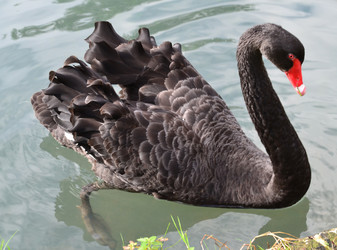 Similar image 22289146