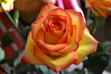 Similar image 22289147