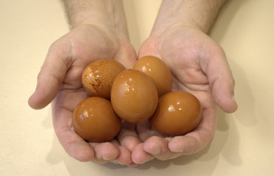 Similar image 22285175