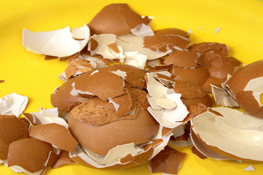 Similar image 22285178