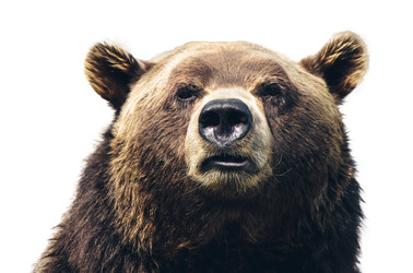 Similar image 22285195