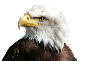 Similar image 22285196