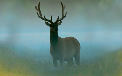 Similar image 22285204