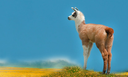 Similar image 22285206