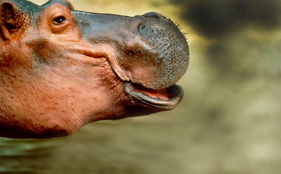 Similar image 22285208