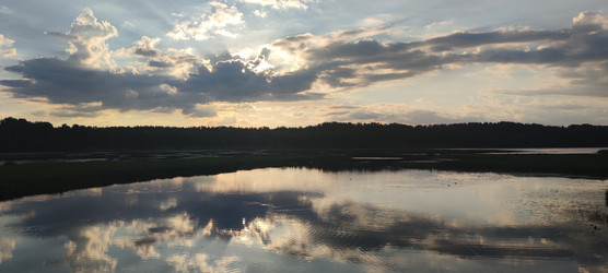 Similar image 22285396