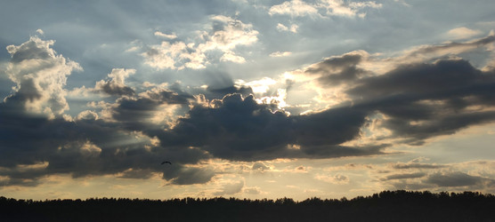 Similar image 22285397