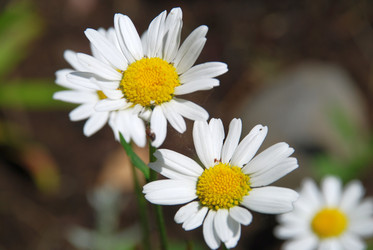 Similar image 22285414