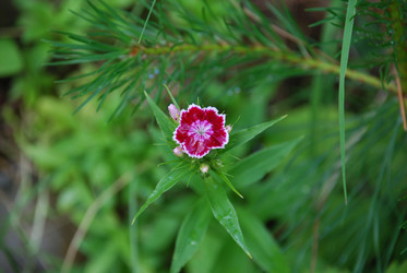 Similar image 22285415