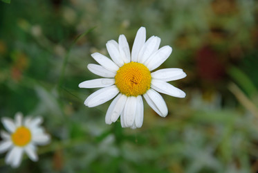 Similar image 22285416