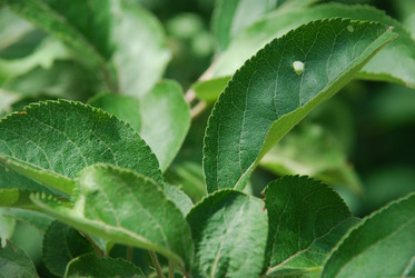 Similar image 22285418