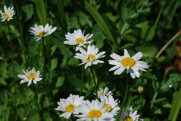 Similar image 22285419