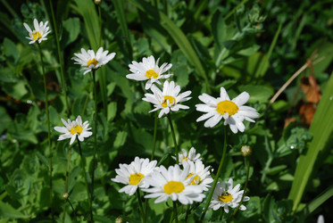 Similar image 22285420