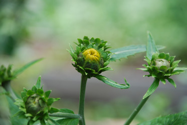 Similar image 22285421