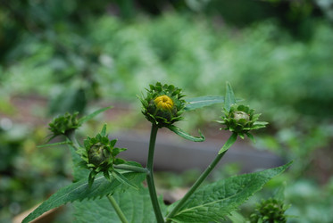 Similar image 22285422