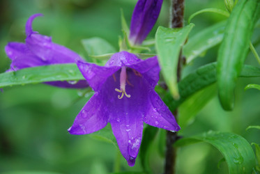 Similar image 22285424