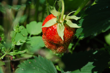 Similar image 22285425