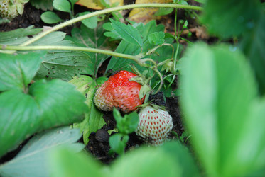 Similar image 22285426