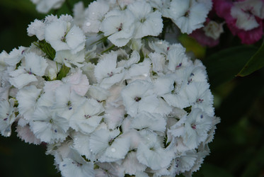 Similar image 22285427