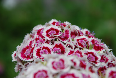 Similar image 22285428