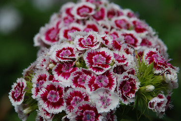 Similar image 22285429