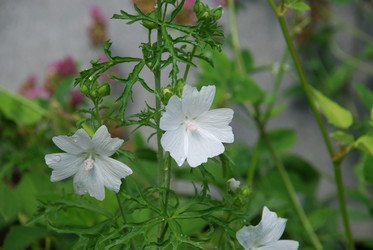 Similar image 22285430