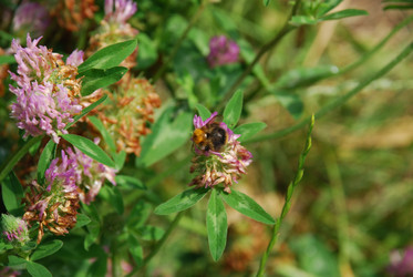 Similar image 22285432