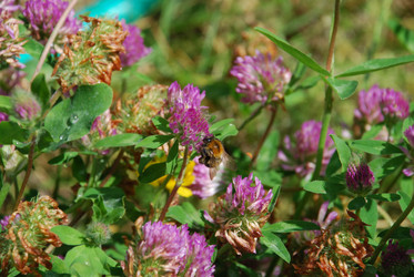 Similar image 22285434