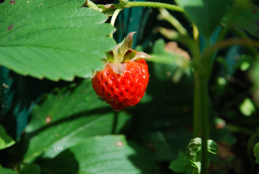 Similar image 22285435