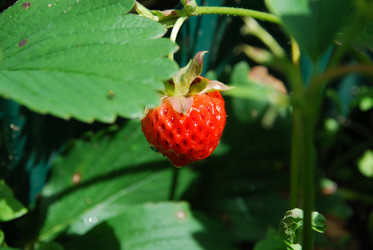 Similar image 22285436