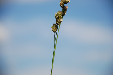 Similar image 22285441