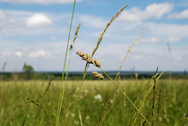 Similar image 22285442