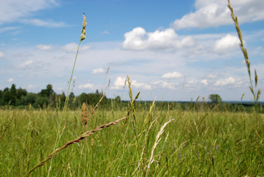 Similar image 22285443