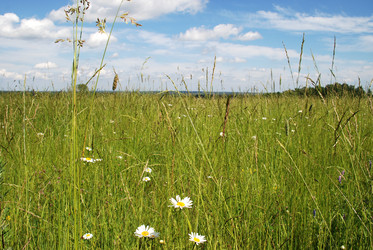 Similar image 22285444