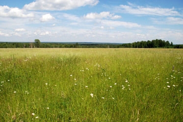 Similar image 22285445