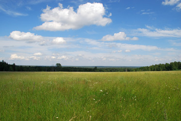 Similar image 22285446