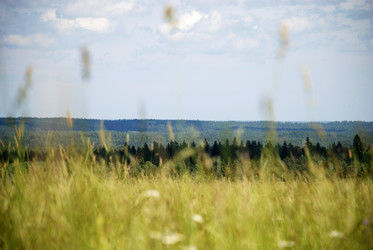 Similar image 22285449