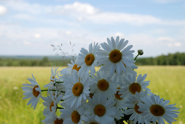 Similar image 22285453