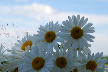 Similar image 22285454