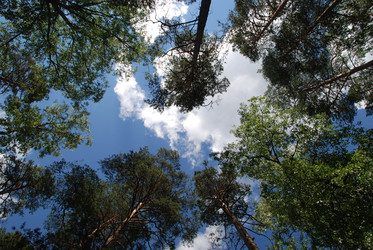 Similar image 22285465