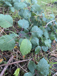 Similar image 22285809