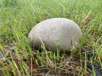 Similar image 22285810