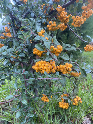 Similar image 22285811