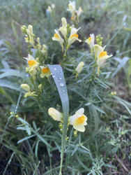 Similar image 22285812