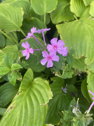 Similar image 22285813